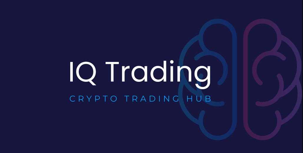 IQ Trade Hub
