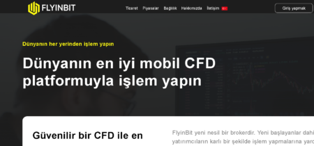 FlyinBit